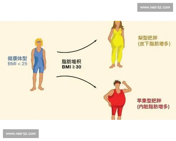 有氧运动全面解析：科学方法提升心肺功能与燃脂效果